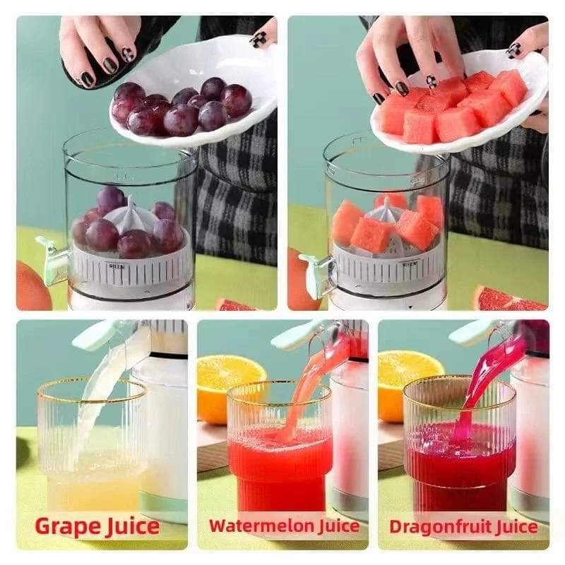 Mini Juicer